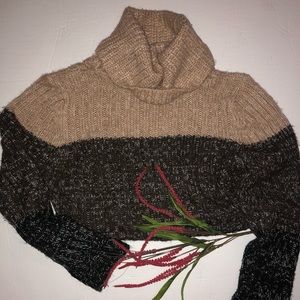 CUSTOM CROP TURTLENECK SWEATER 🐻